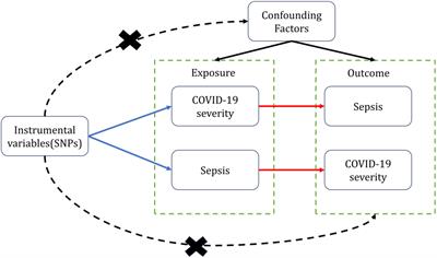 No causal association between COVID-19 and sepsis: a bidirectional two-sample Mendelian randomization study